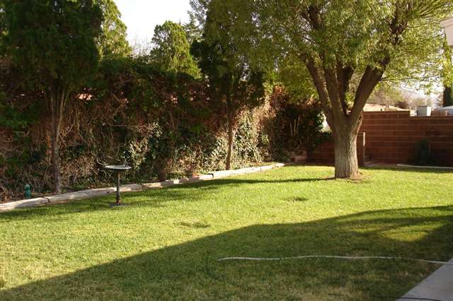 Back Yard